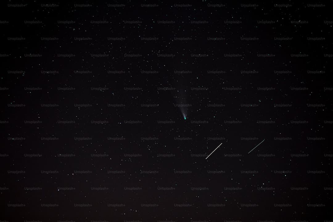 蠊虫是什么虫
